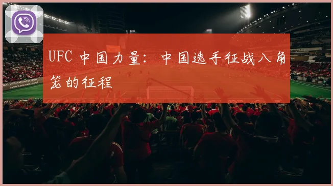 UFC 中国力量:中国选手征战八角笼的征程
