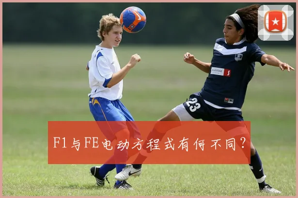 F1与FE电动方程式有何不同？