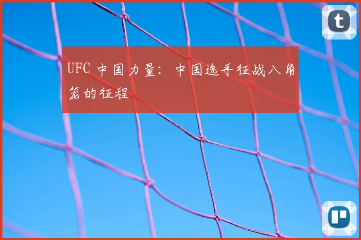 UFC 中国力量:中国选手征战八角笼的征程